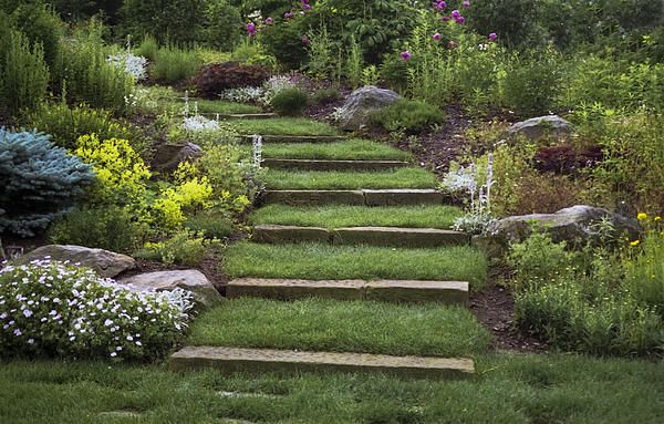 Soft Stairs By Penny Lisowski Steep Hill Landscaping Landscaping With Rocks Fine Art America Photography