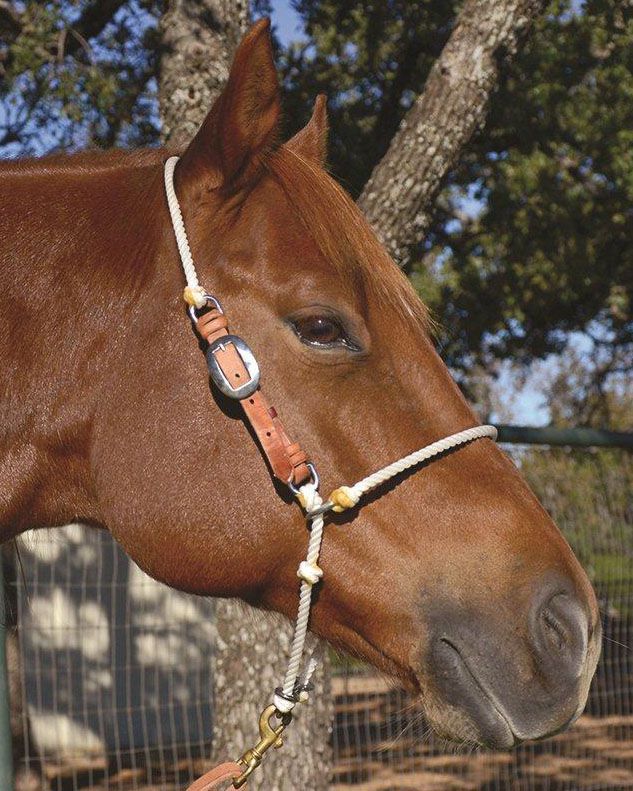 Adjustable Headsetter Tie Down Western Tack Headstalls For Horses Horse Gear Adjustable Headsetter Tie Down Western Tack Headstalls For Horses Horse Gear