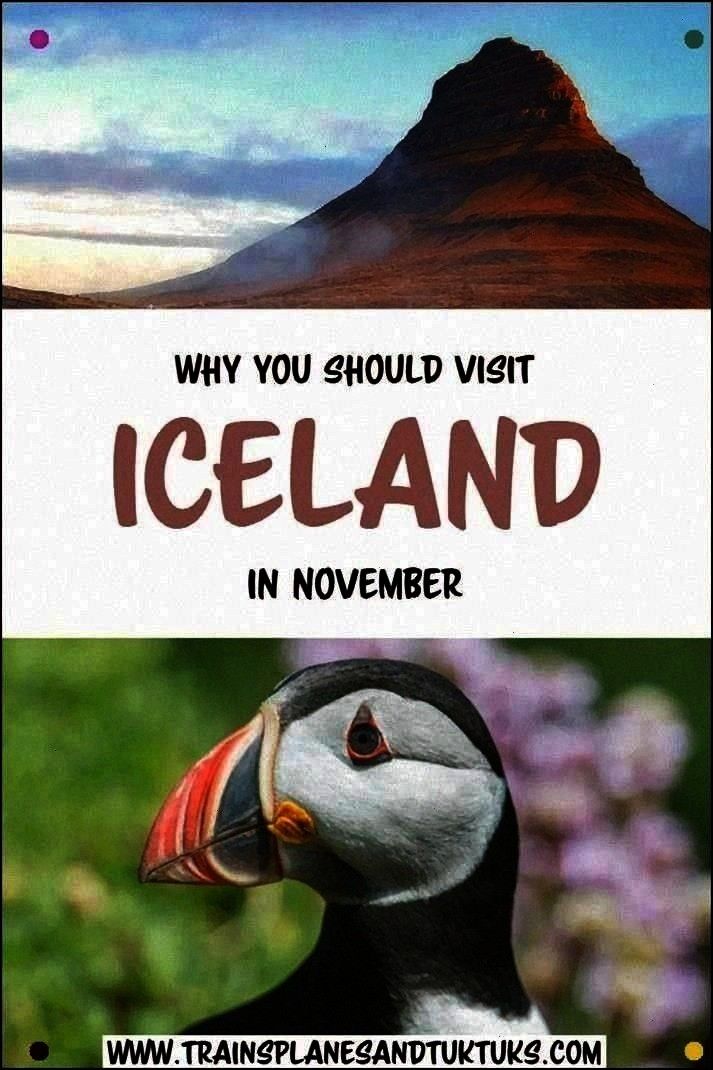 Think about Visiting Iceland In Winter. Iceland In November Is Especially Beautiful, With The North