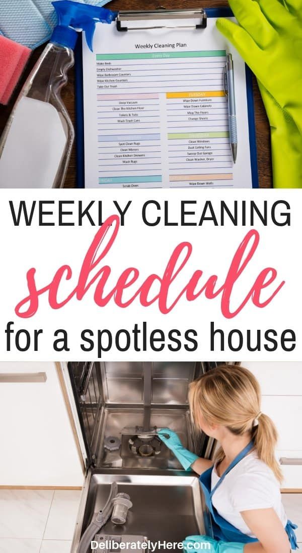 Simple Weekly Cleaning Schedule to Keep Your House Spotless Weekly Cleaning Plan, Monthly Cleaning Schedule, Clean House Schedule, Spring Cleaning Checklist, Speed Cleaning, Cleaning Organizing, Cleaning Hacks, Cleaning Lists, Chore Chart Kids