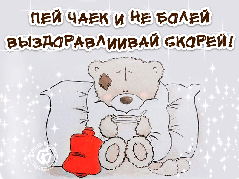этих собак, картинки выздоравливай скорее любимый упоминание