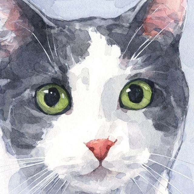 @cat_dogs_animals @art_forever_club @dogs_forever_club #weeklyfluff #photo #animals #meow #petstagram #vscocam #neko #茶トラ #cool #ilovecats Watercolor Cat, Custom Watercolor, Watercolor Animals, Watercolor Paintings, Watercolor Artists, Abstract Paintings, Oil Paintings, Watercolors, Landscape Paintings
