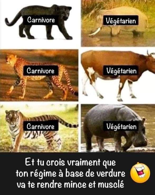Avoir Images Epingle Par Blanche Sur Lol Humour Blague Blague Trop Drole Et dernière salutations