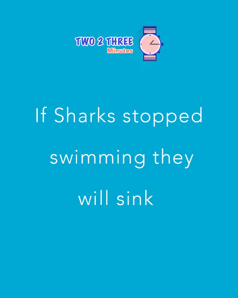 Sharks can't stop swimming Animal facts, Shark, Fun facts Sharks can't stop swimming Animal facts, Shark, Fun facts