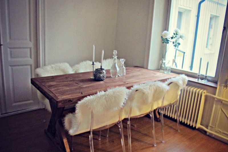 Transparenta labradoren plaststolar. polykarbonat, inredning ...