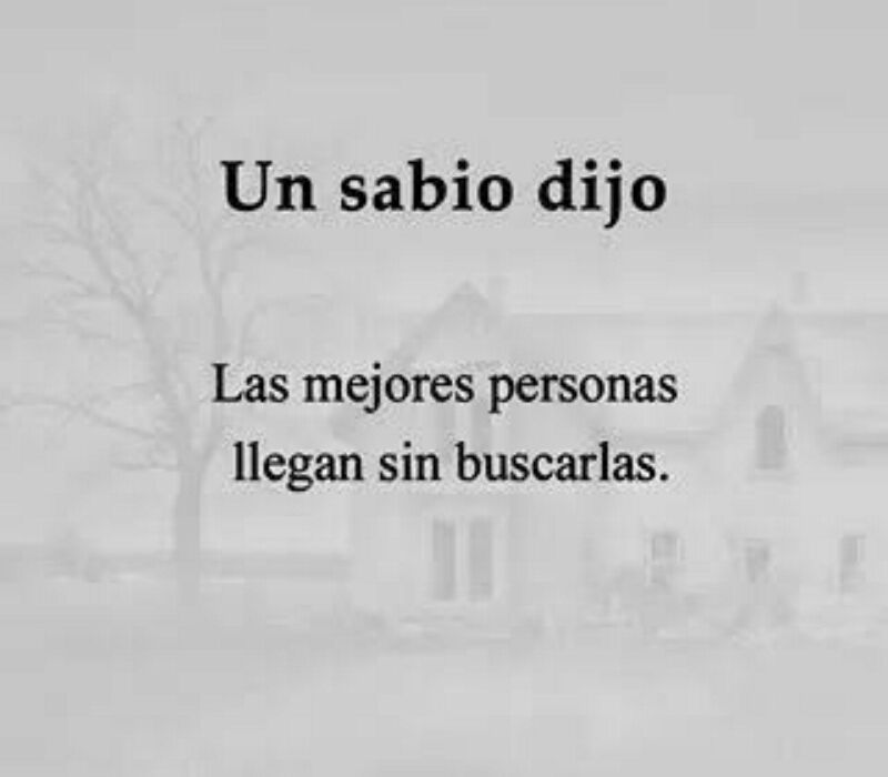 TE ENCONTRÉ...© - Capitulo 11.- ¿Amigos?. - Wattpad Decir No, Cards Against Humanity, Wattpad, Wallpapers, Puppy Face, Christian Pictures, I Found You, Pretty Quotes, Wallpaper
