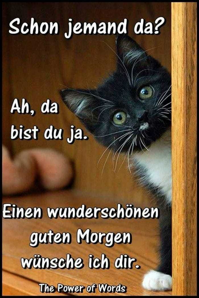 ᐅ guten morgen lustige bilder - Guten Morgen - GB Pics - GBPicsBilder