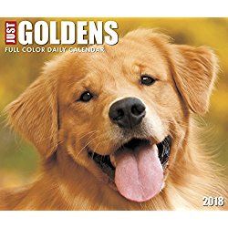 Golden Retrievers Calendar 2018 Just Goldensbox Calendar Dog