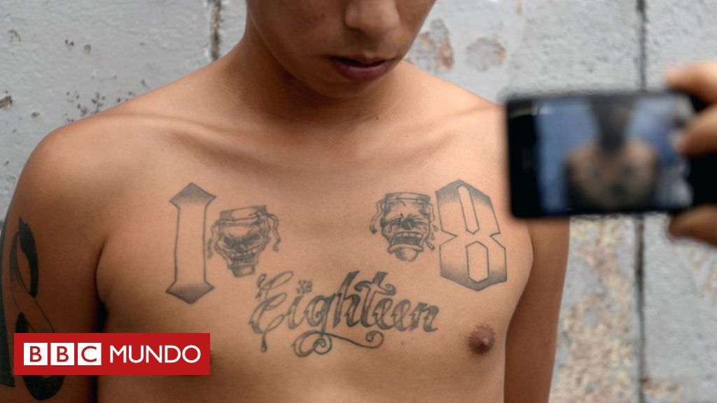 Recientes redadas y arrestos en Los Ángeles y otras ciudades de California pusieron en evidencia que hay otras bandas activas en el país más allá de la Mara Salvatrucha (o MS-13). ¿Quiénes son y por dónde se mueven? Bbc News, Tattoo Quotes, Spanish, Novels, California, Teaching, School, Ms 13 Gang, Life And Death