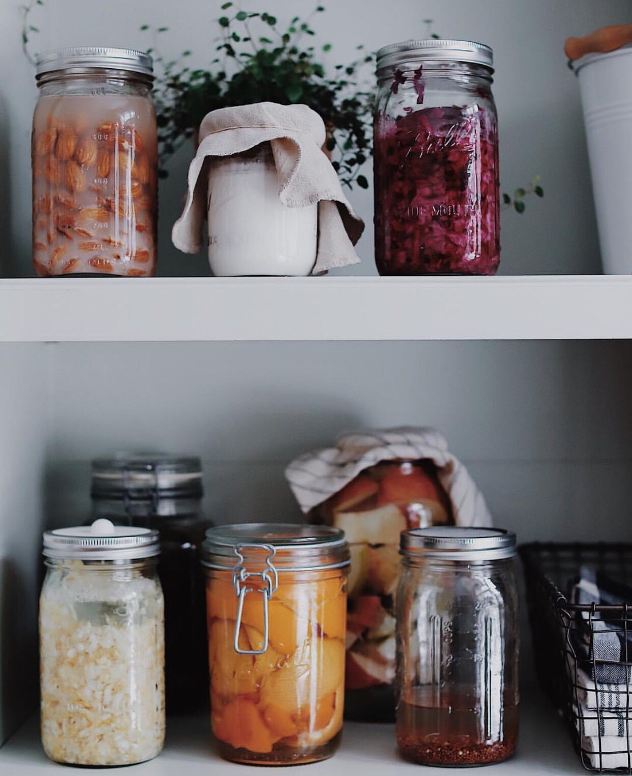 #organization #zerowaste #zerowasteliving #zerowastelifestyle Zero Waste Kitchen, Zero Waste Living, Slow Living, Living Well, Clean Living, Simple Living, Low Waste Lifestyle, Prevent Food Waste, Conscious Consumption