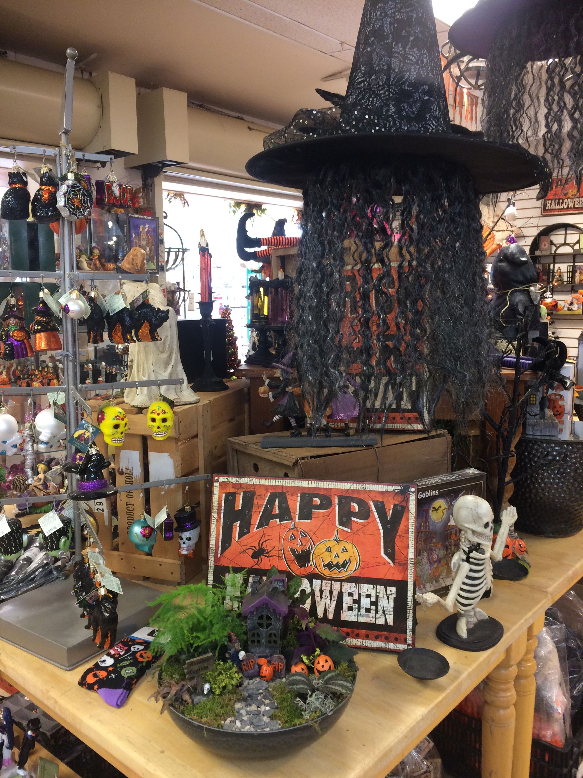 complimentary merchandising example halloween theme succulent