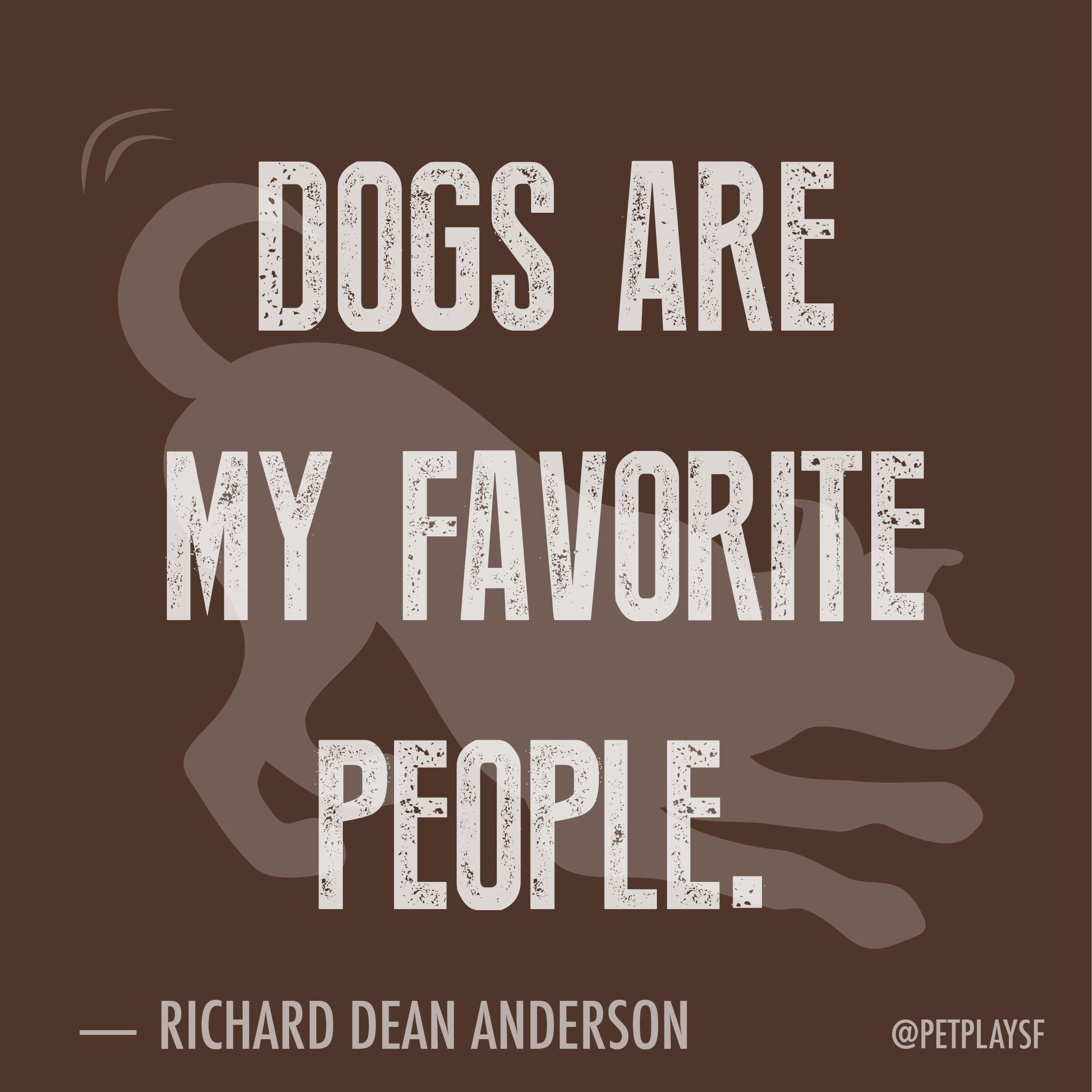 Dogs Are My Favorite People Weeklyplayquote Cute Cat Quotes Animal Quotes Loveable Quote