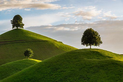 1.8 million+ Stunning Free Images to Use Anywhere - Pixabay Photoshop Clone, Free Photoshop, Photoshop Actions, Download Free Images, Stock Images Free, Image Hd, Find Image, Prairie, Nature Images