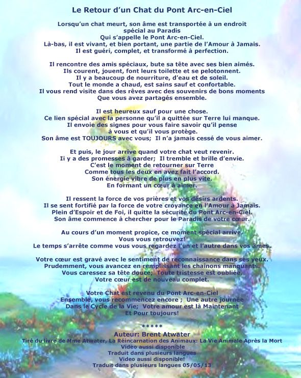 Www Brentatwater Com Les Chats Communication Animale Qui Guerit Votre Coeur Pet Loss Cat Cat Heaven Rainbow Bridge Cat Www Brentatwater Com Les Chats Communication Animale Qui Guerit Votre Coeur Pet Loss Cat Cat Heaven Rainbow Bridge Cat