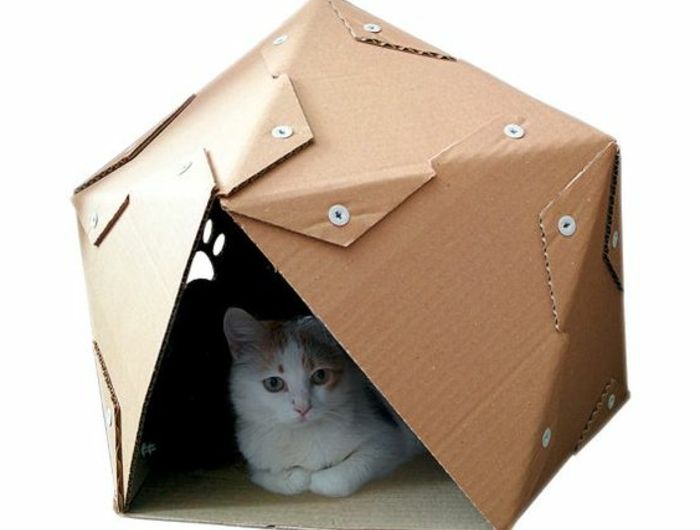7 Idees De Carton Chat Maison De Chat En Carton Maison De Chat Maison Chat 7 Idees De Carton Chat Maison De Chat En Carton Maison De Chat Maison Chat