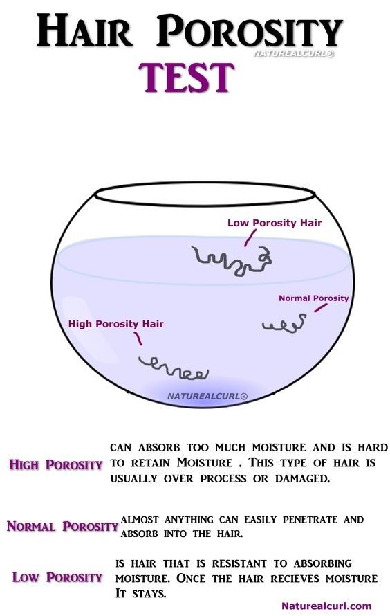 Hair Porosity 101: Shea Moisture High + Low Porosity Collection Review + Giveaway