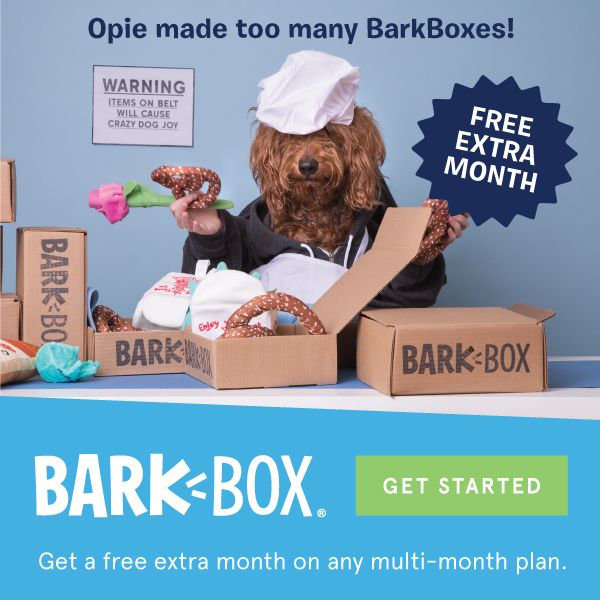 Dog Toy Box Alternative Barkbox Products Https Www Youtube Com