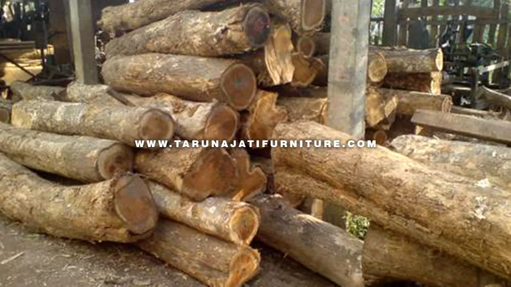 9 Jenis Kayu Paling Baik Untuk Di Buat Furniture Terbaru Tarunajatifurniture Com In 2021 Kayu Mebel Kayu Jati 9 Jenis Kayu Paling Baik Untuk Di Buat Furniture Terbaru Tarunajatifurniture Com In 2021 Kayu Mebel Kayu Jati