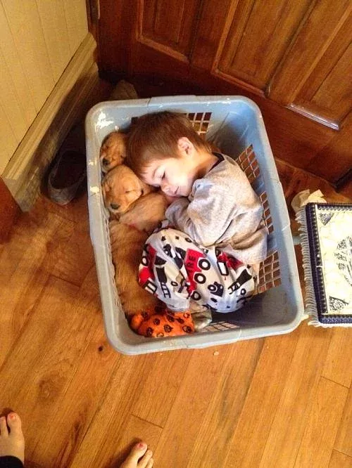 Gülümsemenize Hakim Olamayacağınız 44 Fotoğrafla Hayatın Yürek Isıtan Detayları #funnyphotos
