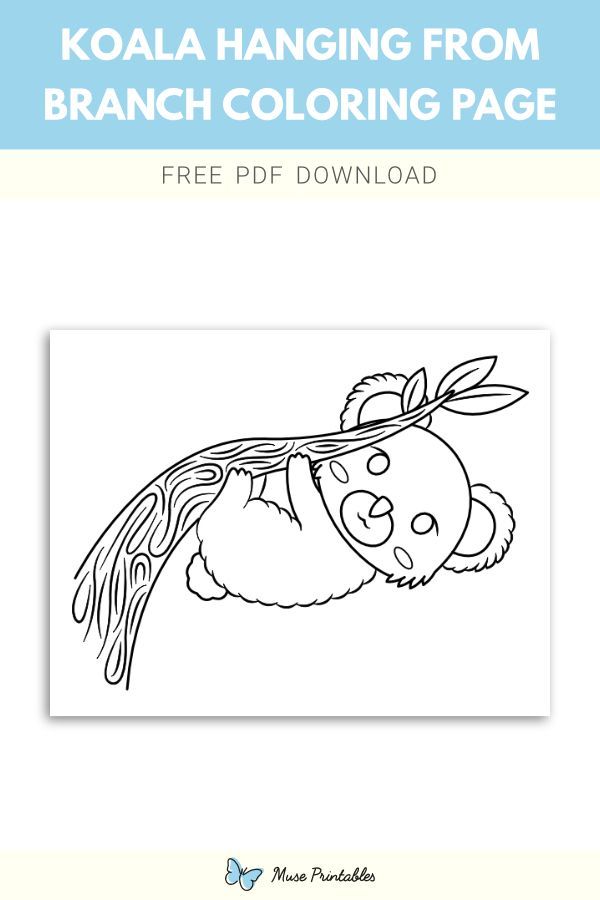 Free printable koala hanging from branch coloring page. Download it at https://museprintables.com/download/coloring-page/koala-hanging-from-branch/ Koala, Branch, Free Printables, Coloring Pages, Hanging, Download, Quote Coloring Pages, Free Printable, Kids Coloring