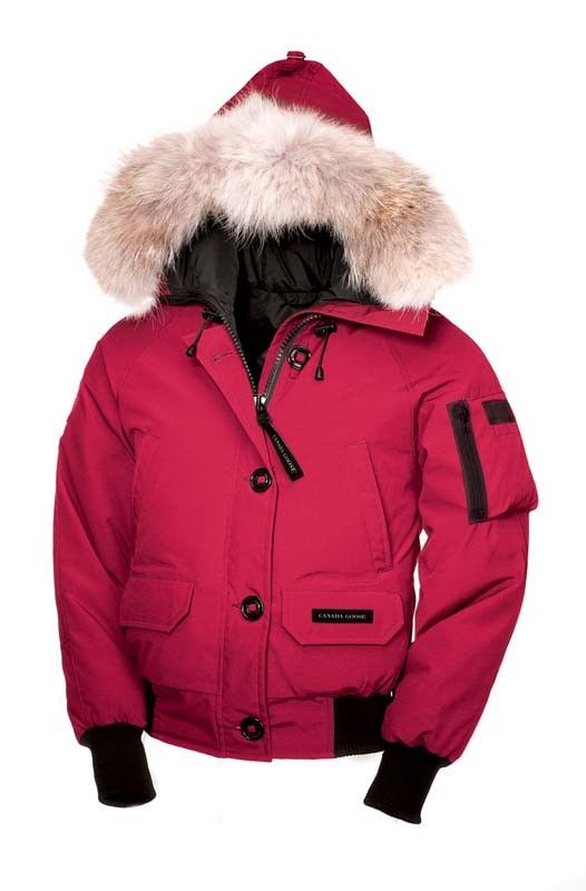 canada goose rosa canada goose rosa