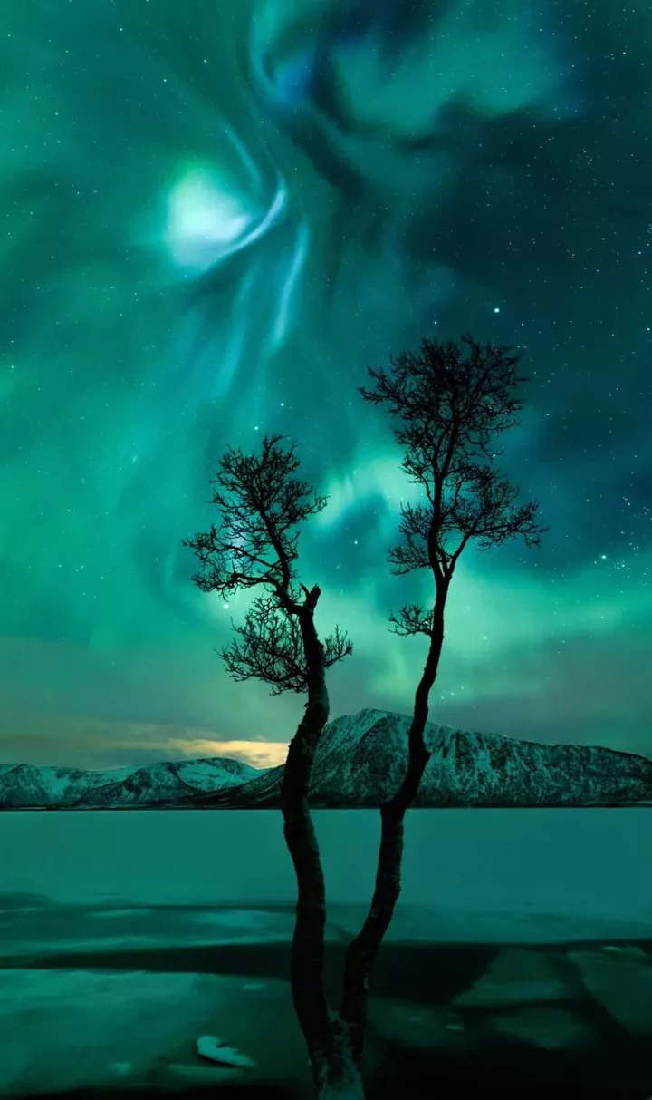 Incredible Beautiful Moon Night Nature Incredible Beautiful Moon Night Nature