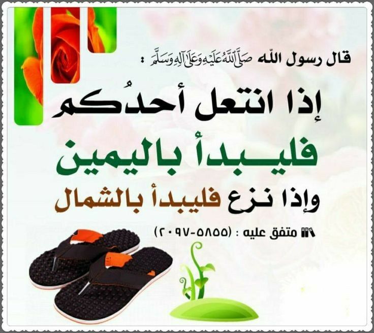 Pin By Hamdy Shehata On سنن مهجورة Words Word Search Puzzle Alc