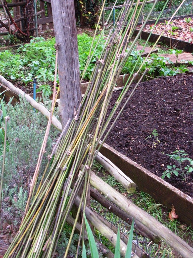 using bamboo poles to hold up shade cloth bing bamboo poles shade sails patio vegetable trellis sun shade sail retractable on using bamboo poles to hold up shade cloth bing bamboo poles shade sails patio vegetable trellis bamboo poles shade sails