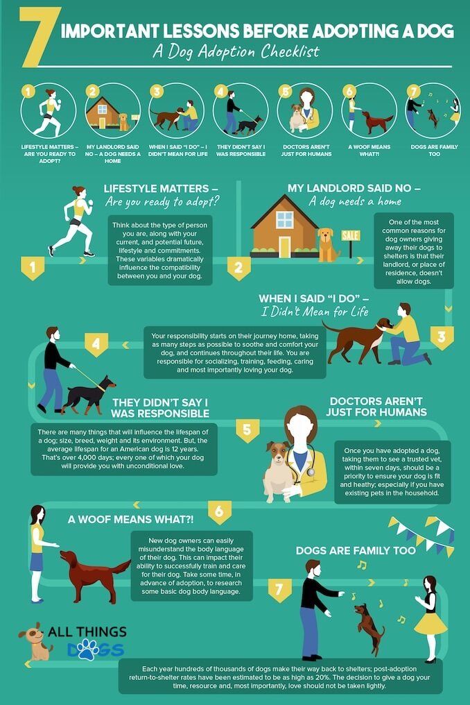 14 Dog Shelters Speak Out What You Should Know BEFORE Adopting A Dog 14-dog-shelters-speak-out-what-you-should-know-before-adopting-a-dog