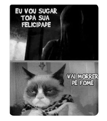 Era só o que me faltava! Eu fui obrigada a viver minha vida toda … #fanfic # Fanfic # amreading # books # wattpad Funny Animal Pictures, Funny Photos, Funny Images, Funny Animals, Avakin Life, Lol, Funny As Hell, Harry Potter Memes, Grumpy Cat