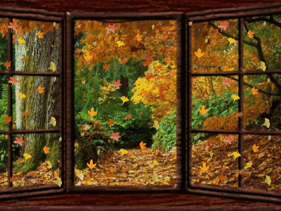 The falling leaves drift by the window The autumn leaves of red and gold....but I miss you most of all, my darling, when autumn leaves start to fall. (Nat King Cole) #autumnleavesfalling