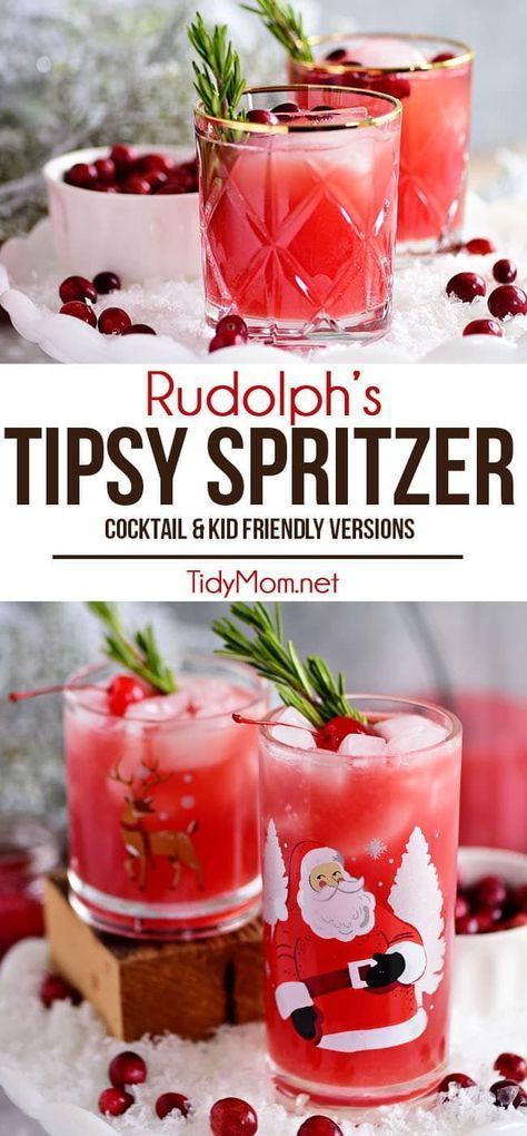Need a festive holiday cocktail? RUDOLPH’S TIPSY SPRITZER features the perfect balance of flavors that goes beyond a simple mix of vodka and cran. A party-perfect punch that can easily be made as a mocktail. Christmas Drinks Alcohol, Christmas Cocktails Recipes, Holiday Recipes, Christmas Party Drinks, Christmas Alcholic Drinks, Christmas Cocktails Easy, Holiday Cocktail Party, Easy Christmas Cocktails Vodka, Winter Party Drinks