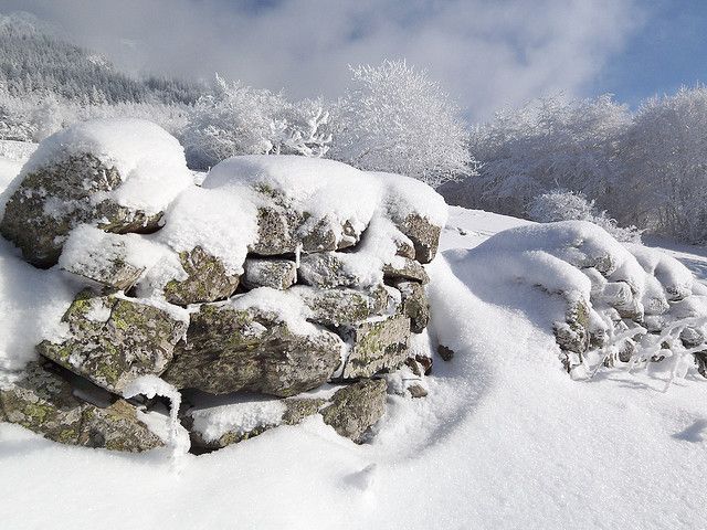 Stone Wall Caught In Snow Stone Wall Snow Stone Stone Wall Caught In Snow Stone Wall Snow Stone