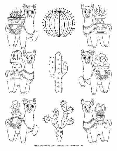 Ridiculously Cute Llama Coloring Pages (for kids & teens)