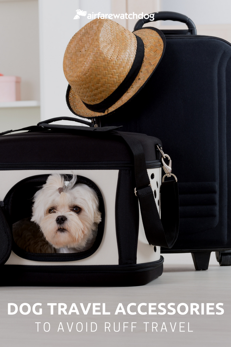 7 Dog Travel Accessories To Avoid Ruff Travel Dog Travel Accessories Dog Travel Travel Accessories [ 1102 x 735 Pixel ]