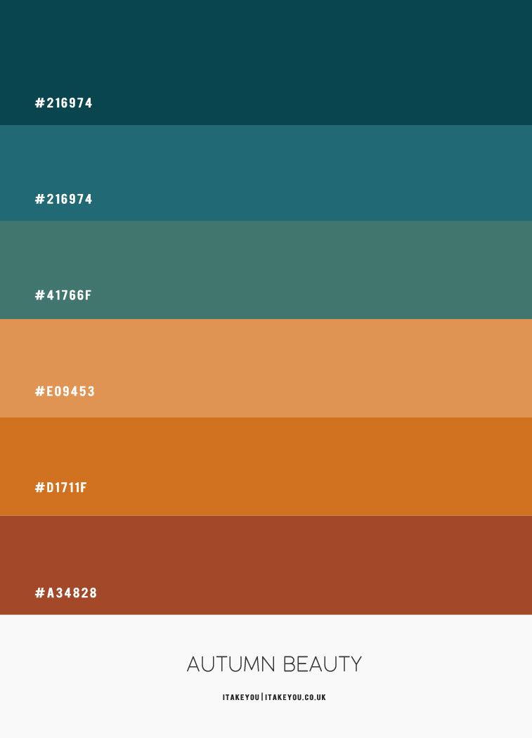 Teal and Pumpkin Colour Combo – #ColourPalette 47