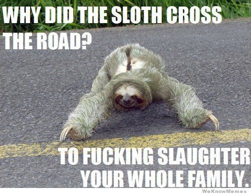 sloth meme google search sloths pinterest sloth funny and
