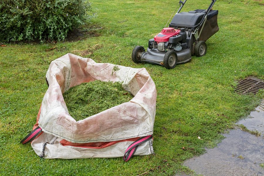 Pin On Biggest Lawn Care Mistakes Homeowners Make