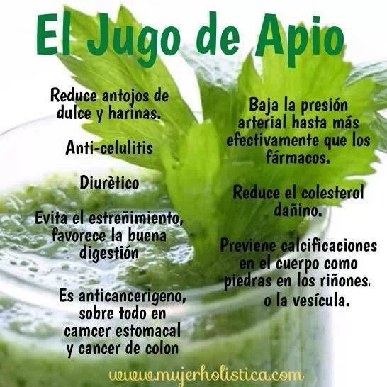 Beneficios del apio para bajar de peso