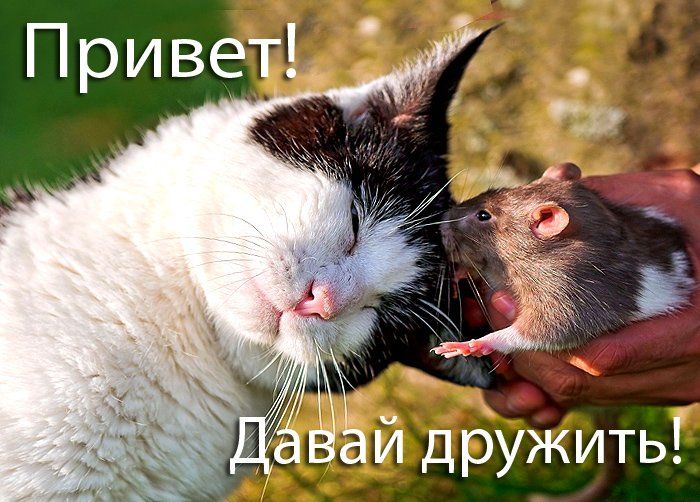 Картинка давай дружить прикол, советские дети