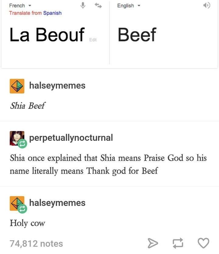 Shia Laboeuf Name Means Holy Cow Shia Laboeuf Name Means Holy Cow