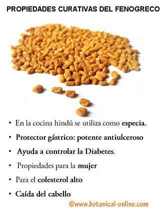 fenogreco+para+adelgazar+como+se+prepara