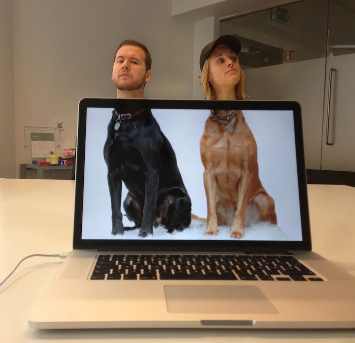 Funny Photos of Coworkers Aligned with Animal Bodies