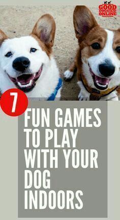 Brain Training for Dogs