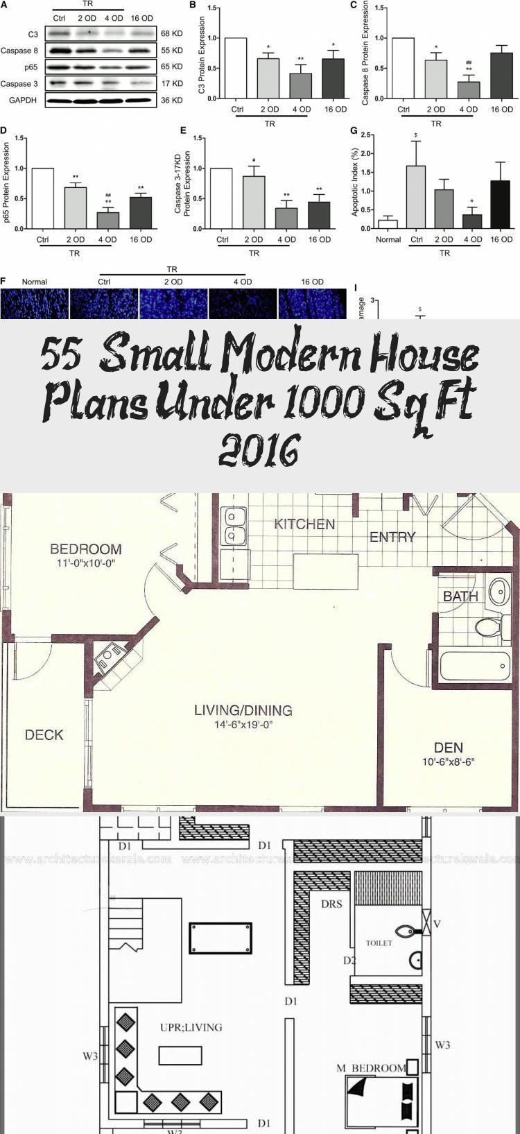 50 Small Modern House Plans Under 1000 Sq Ft 2019 Modernhousesketcheasy Modernhouses 1000 Sq Ft Small Modern House Plans, Small Modern House Plans 1000 Sq Ft