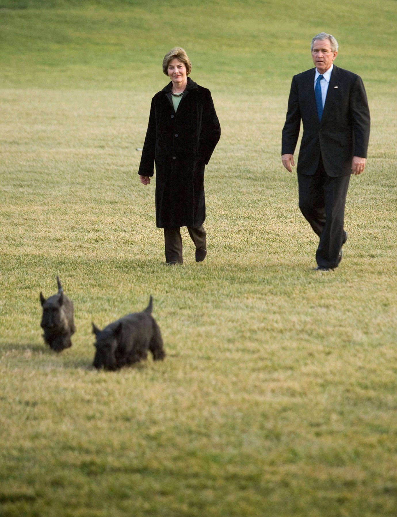 The First Dogs Of The White House Dogs Family Dogs Scottie Dog