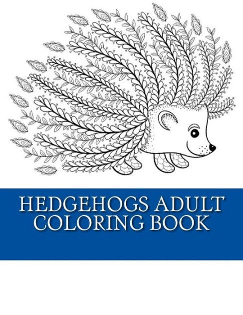 Pin on Hedgehog stuff