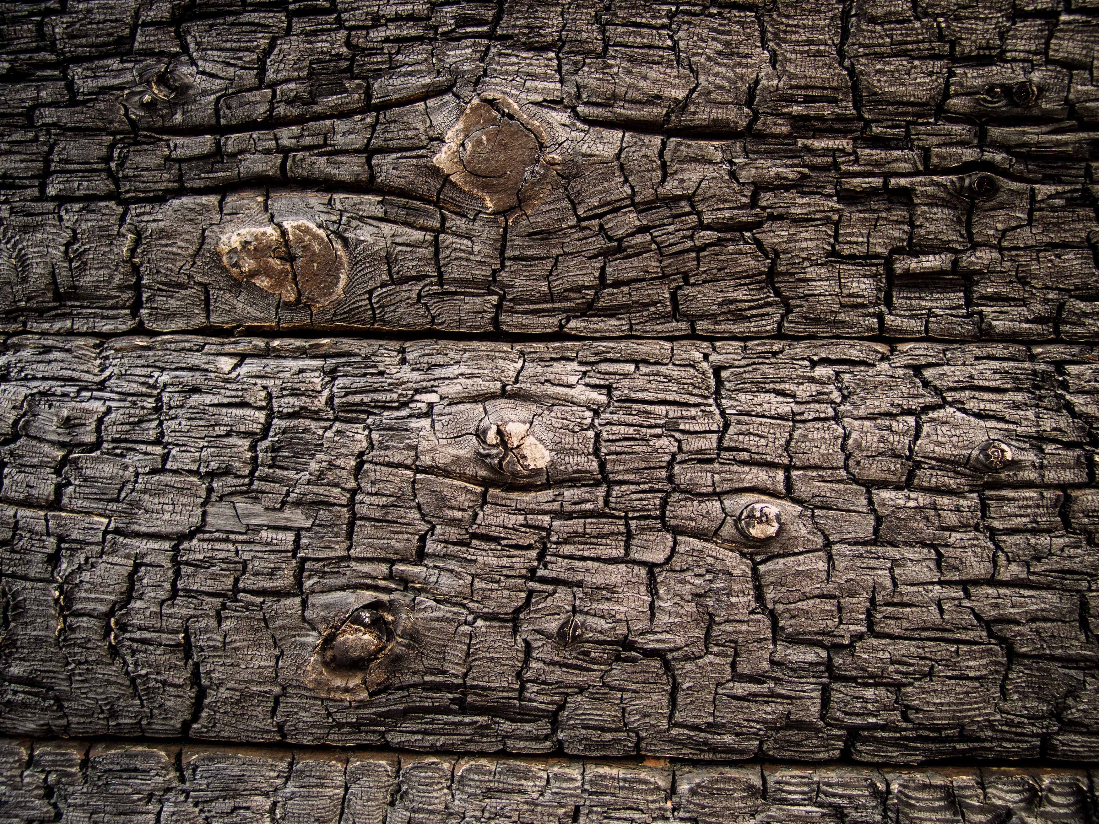 texture woods