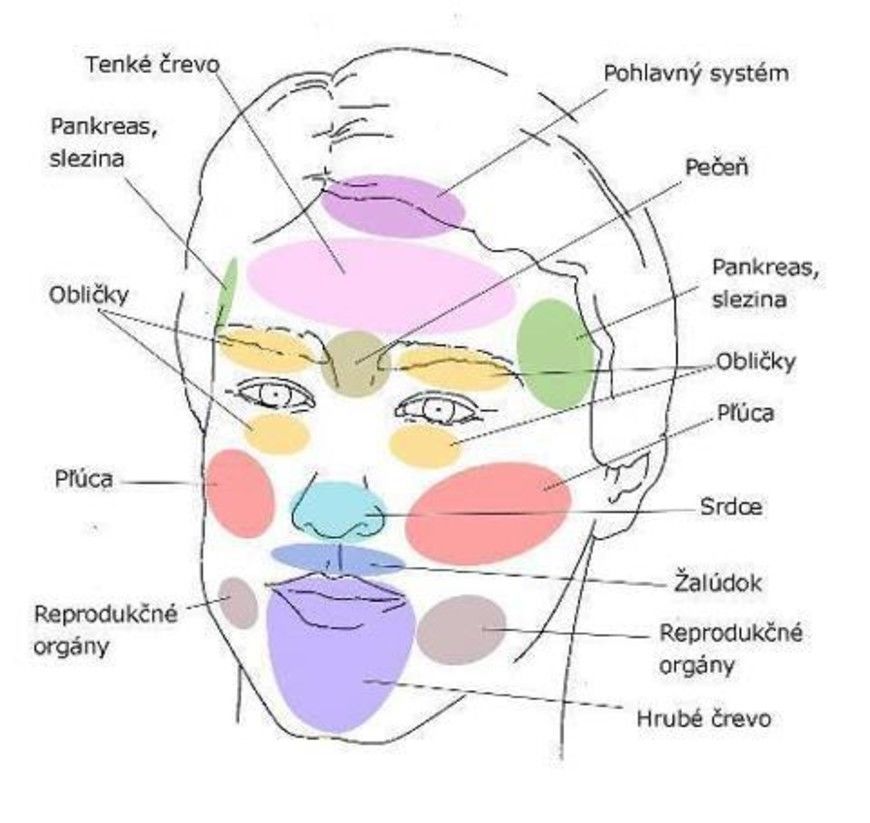 Face Mapping, Herbology, Keep Fit, Healthy Ingredient, Diet And Nutrition, Herbal Medicine, Good Advice, Ayurveda, Human Body