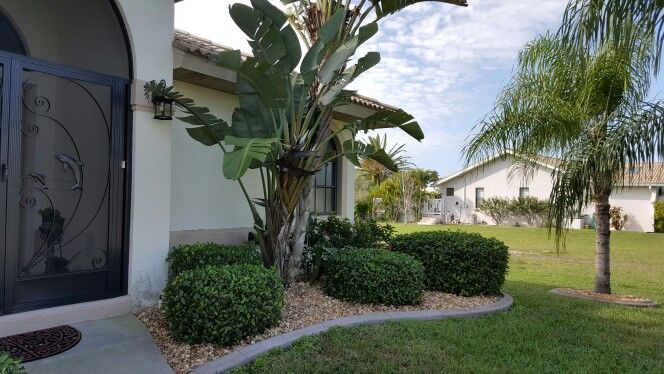 Front yard Bird of Paradise | Landscape, Front yard, Birds ... Front yard Bird of Paradise | Landscape, Front yard, Birds ... on Birds Backyard Landscapes id=85178